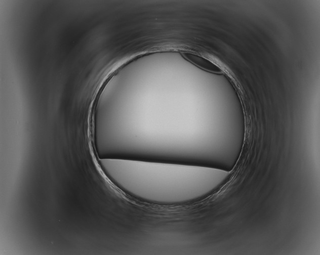 X0000086761055200704130810