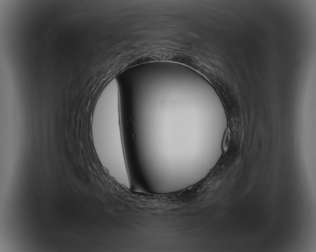 X0000086761057200704130809