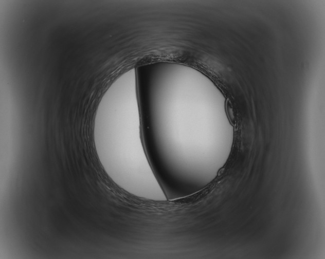 X0000086761058200704130809