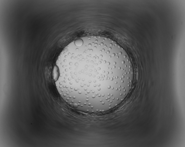 X0000086761059200704130809