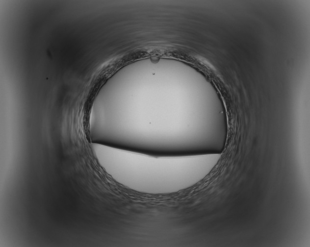 X0000086761063200704130809