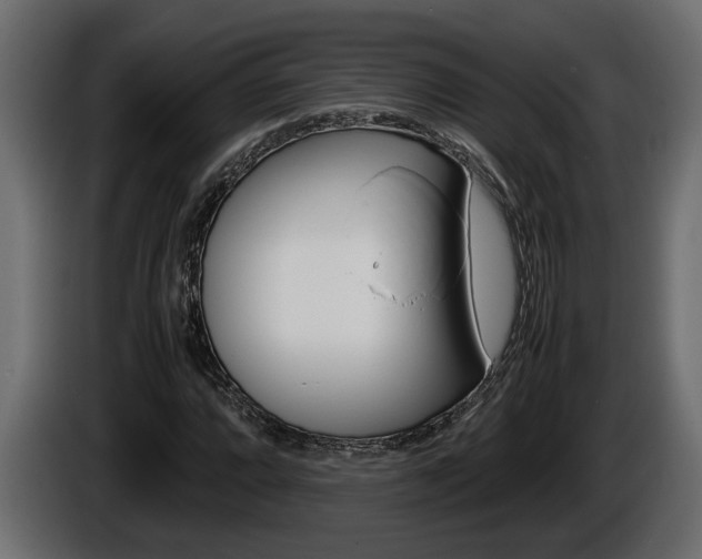 X0000086761064200704130809
