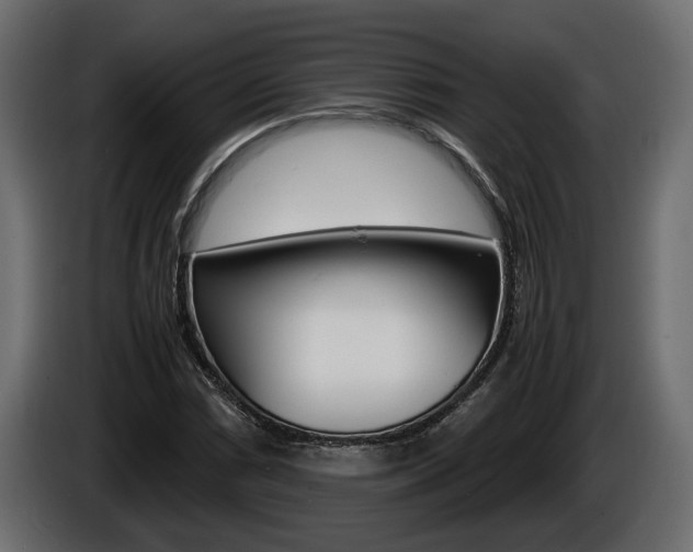 X0000086761066200704130809