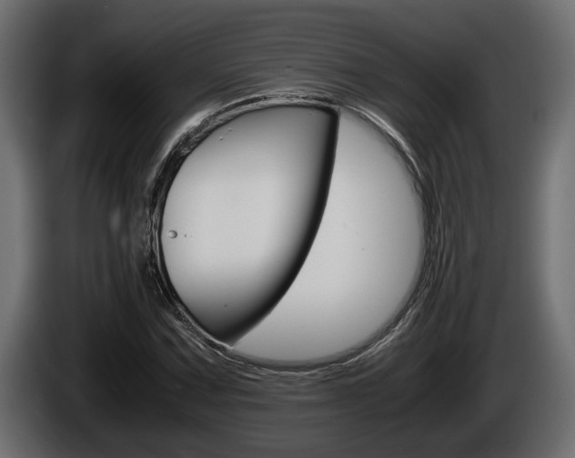 X0000086761067200704130809