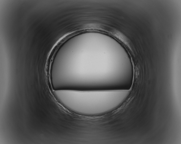 X0000086761068200704130809