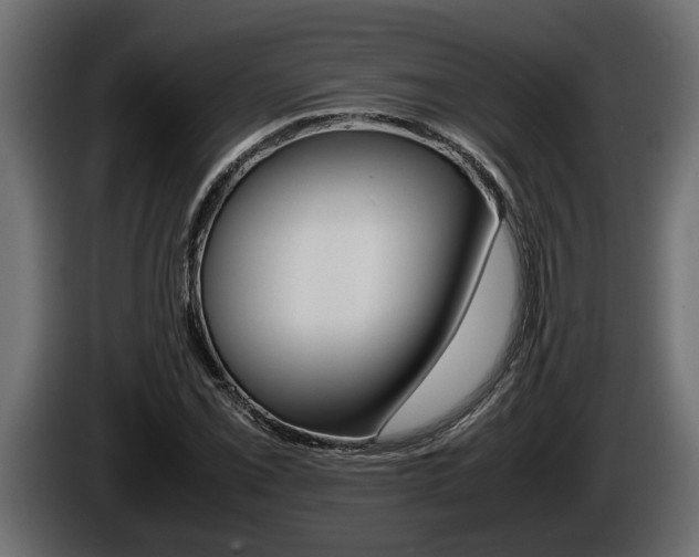 X0000086761069200704130809