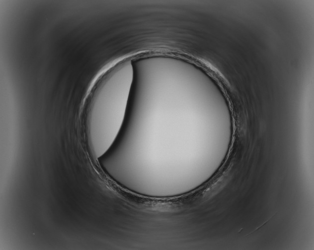 X0000086761070200704130809