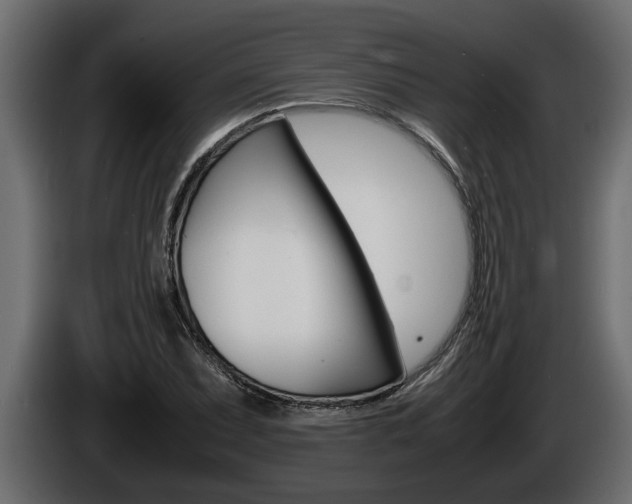 X0000086761071200704130809
