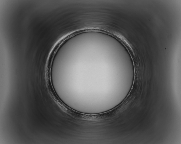 X0000086761072200704130809