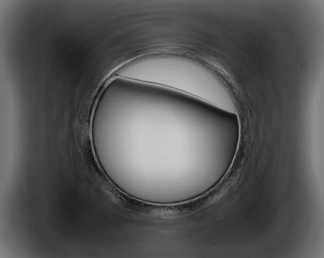 X0000086761073200704130809