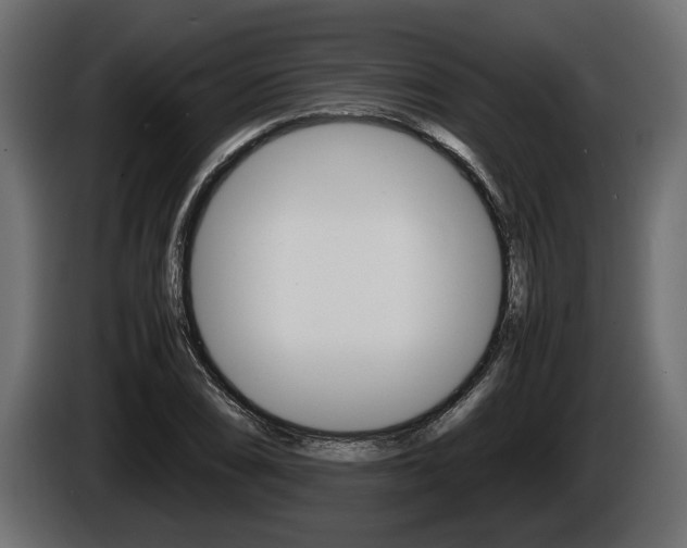 X0000086761074200704130809