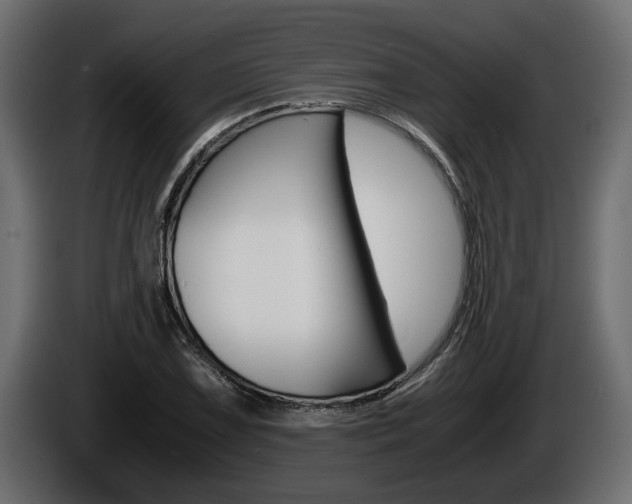 X0000086761075200704130809