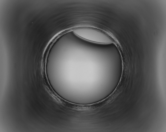 X0000086761076200704130809