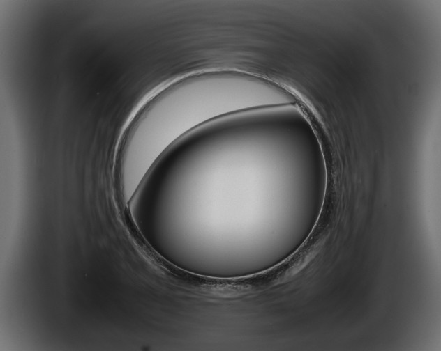 X0000086761077200704130809