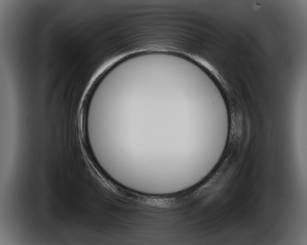 X0000086761078200704130809