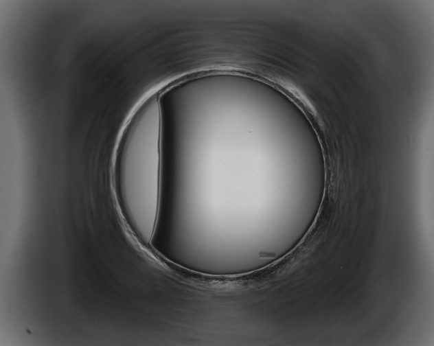 X0000086761080200704130809