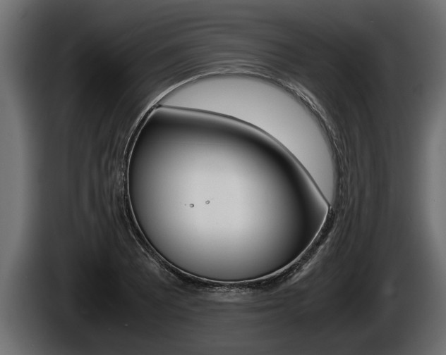 X0000086761081200704130809