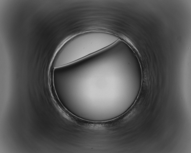 X0000086761082200704130809