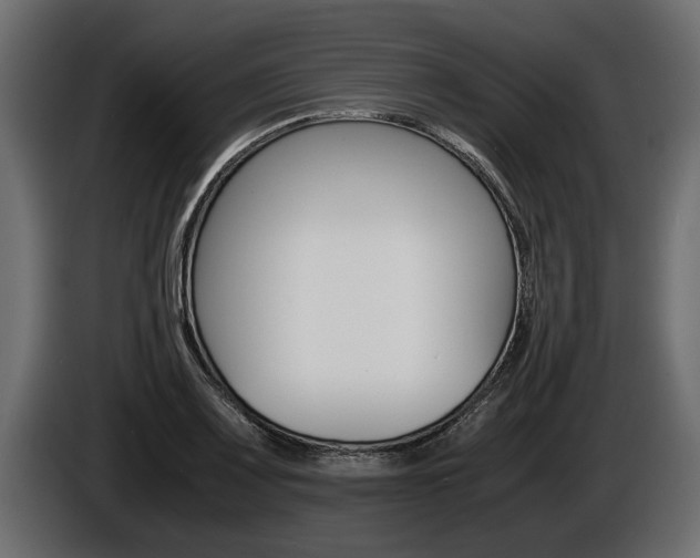 X0000086761083200704130809