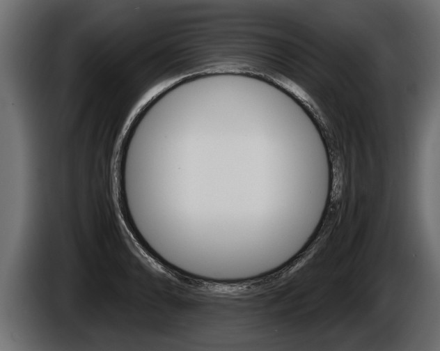 X0000086761086200704130809