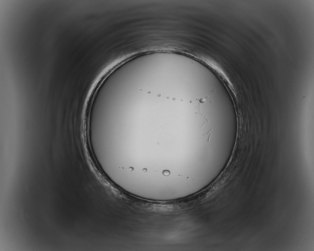 X0000086761088200704130809