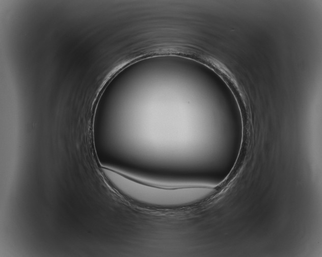 X0000086761089200704130809