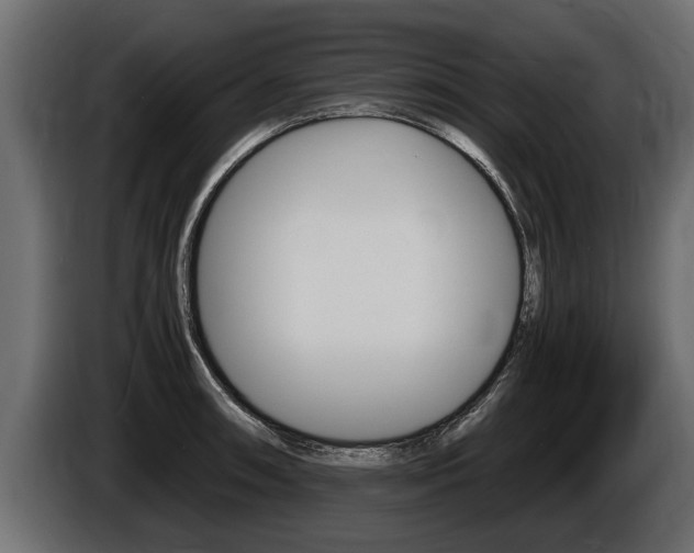X0000086761090200704130809