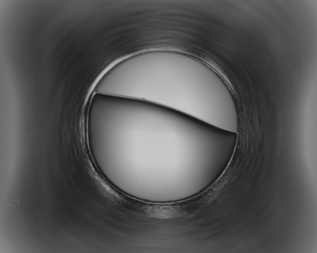 X0000086761092200704130809