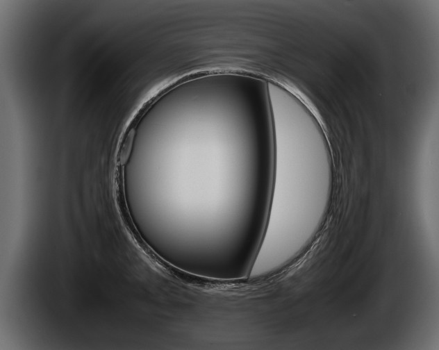X0000086761093200704130809