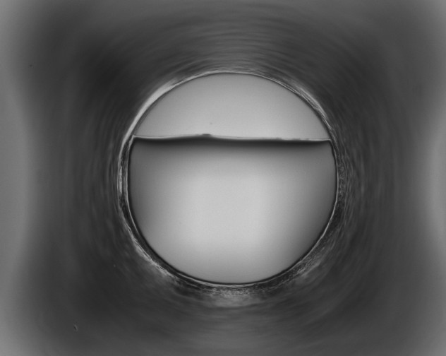 X0000086761095200704130809