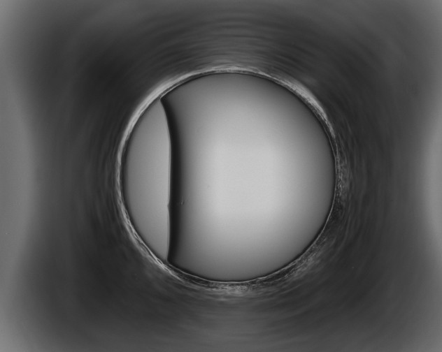 X0000086761096200704130809