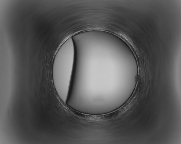 X0000086761097200704130809