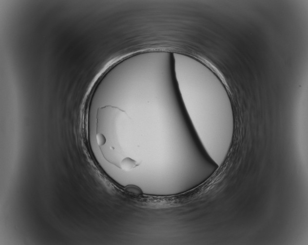 X0000086761099200704130809