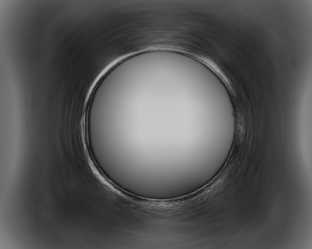 X0000086761100200704130809