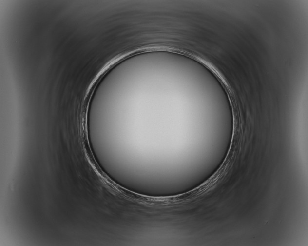 X0000086761101200704130809