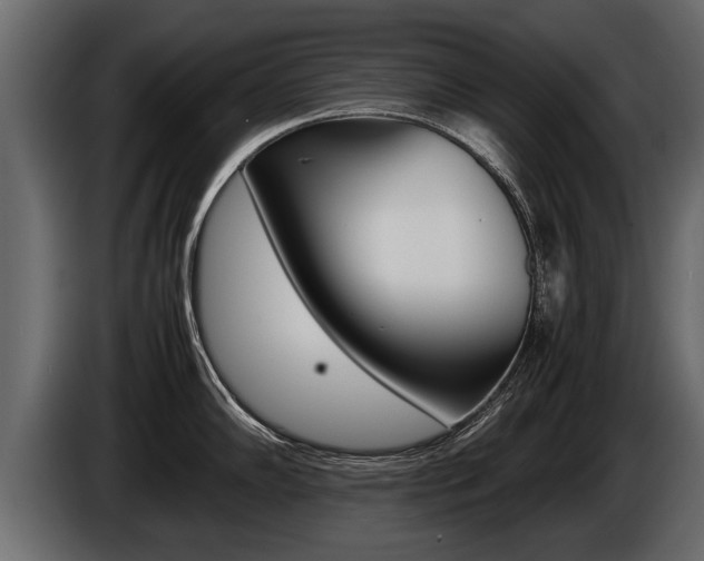 X0000086761102200704130809