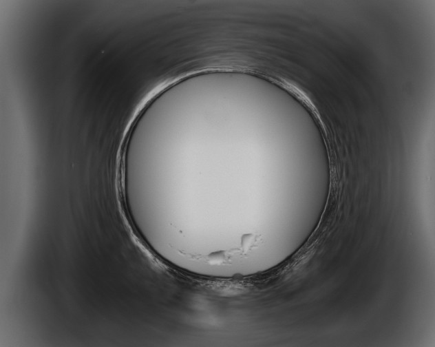X0000086761103200704130809