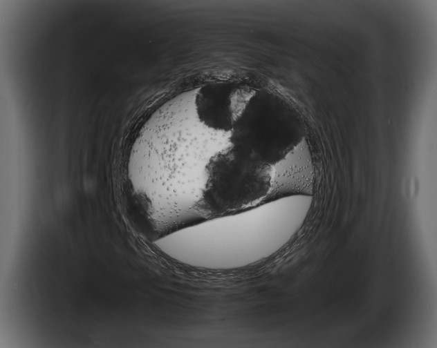 X0000086761105200704130808