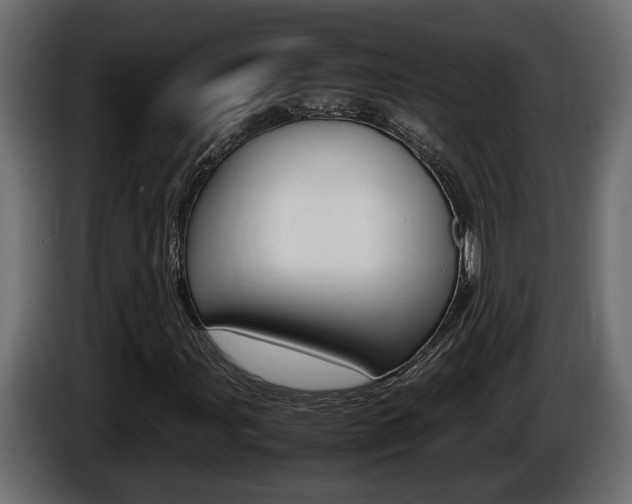 X0000086761107200704130808