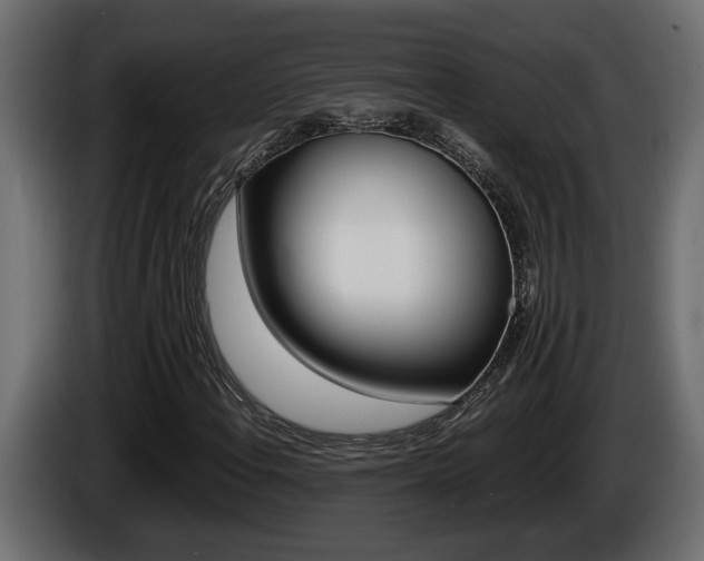X0000086761108200704130808