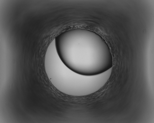 X0000086761109200704130808