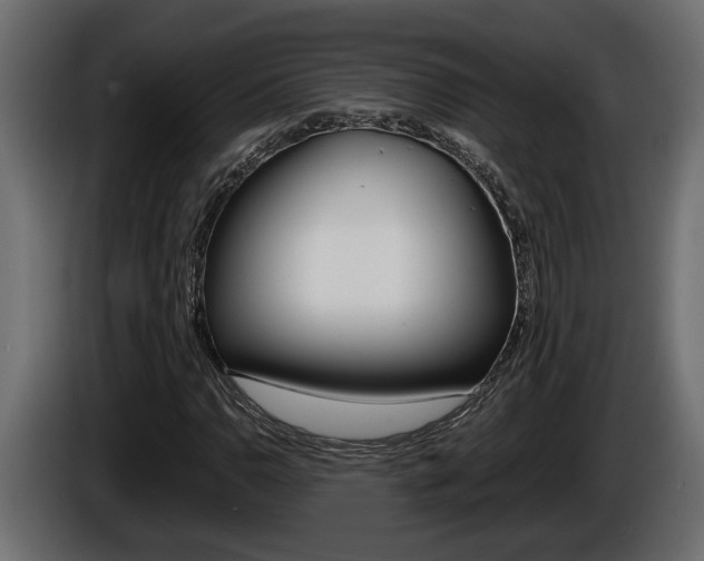 X0000086761110200704130808