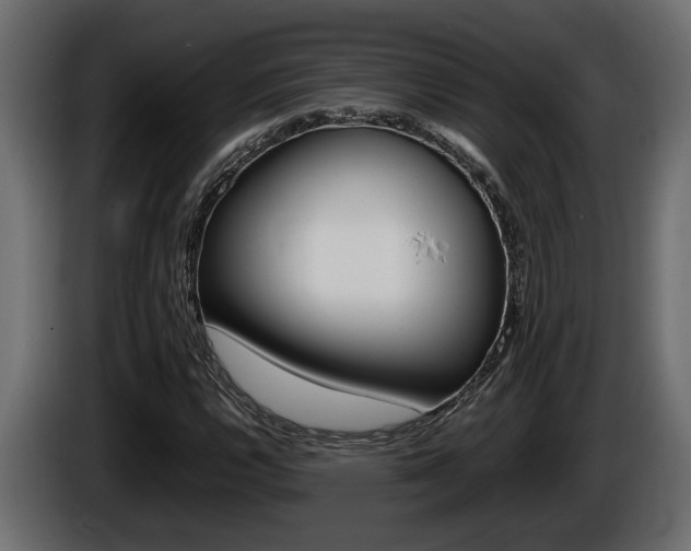 X0000086761112200704130808