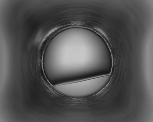X0000086761115200704130808