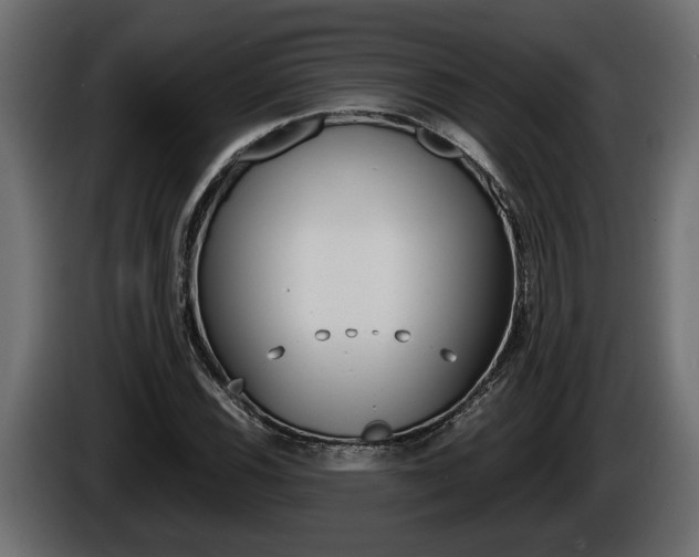 X0000086761116200704130808