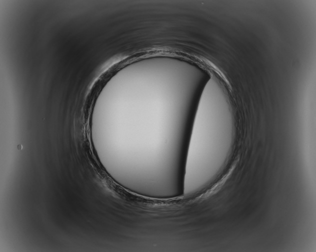 X0000086761117200704130808
