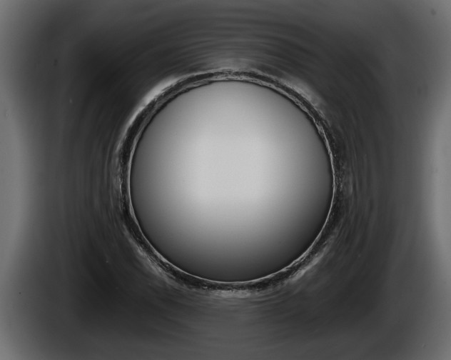 X0000086761118200704130808