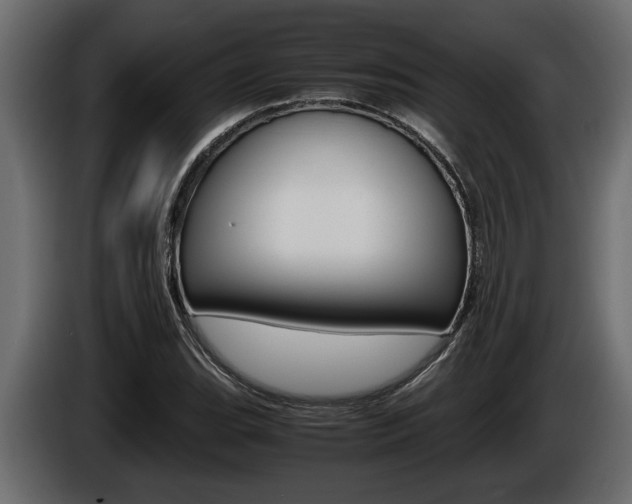 X0000086761119200704130808