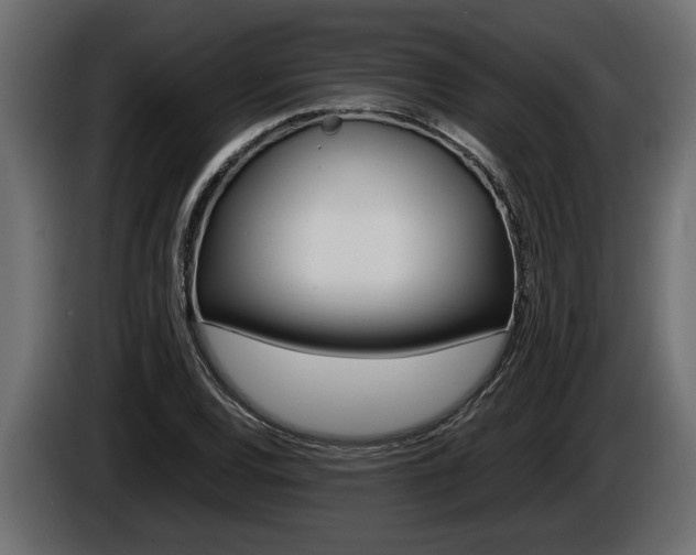 X0000086761120200704130808