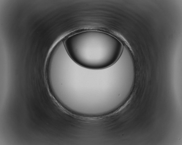 X0000086761122200704130808